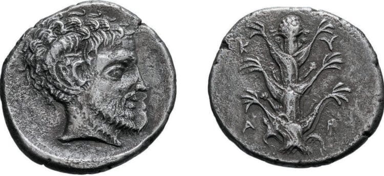 Why does a heart mean love? Coin with the image of silphium. Image source: arsclassicacoins.com. Photo.