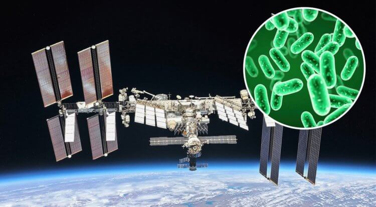 Bakterier på ISS har förvandlats till mutanter som inte dör av antibiotika. Det finns bakterier på ISS, och de muterar snabbt. Bildkälla: nasa.gov. Foto.