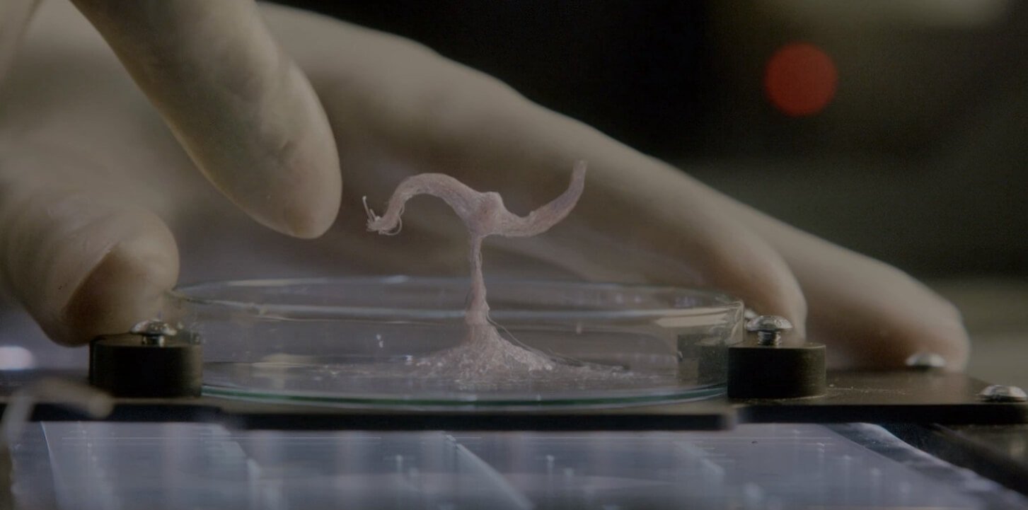 Опасность бактерий на МКС. Кадр из фильма «Живое» 2017 года. Фото.