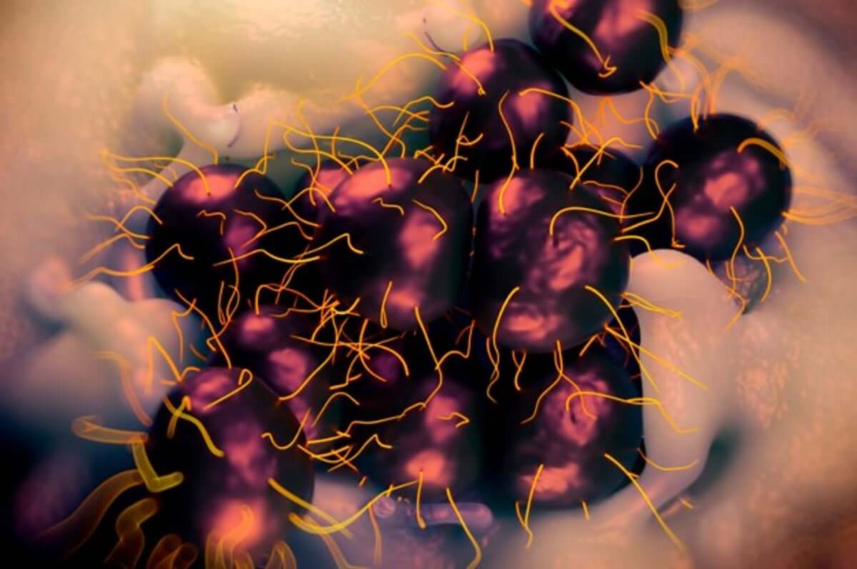 Эпидемия супергонореи. Бактерии, вызывающие гонорею, настолько преуспели в борьбе с антибиотиками, что единственным рекомендуемым средством лечения остается цефтриаксон.Изображение: buzzfeed.com. Фото.