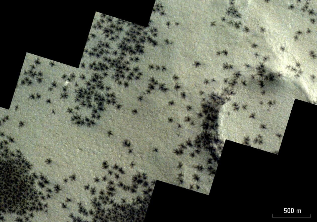 Времена года на Марсе. «Пауки» на Марсе, снятые аппаратом Trace Gas Orbiter. Источник фотографии: esa.int. Фото.