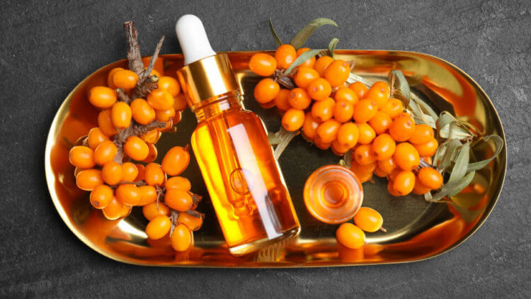 Why are sea buckthorn berries healthy? Sea buckthorn oil may have an anti-inflammatory effect. Photo source: www.kp.ru. Photo.