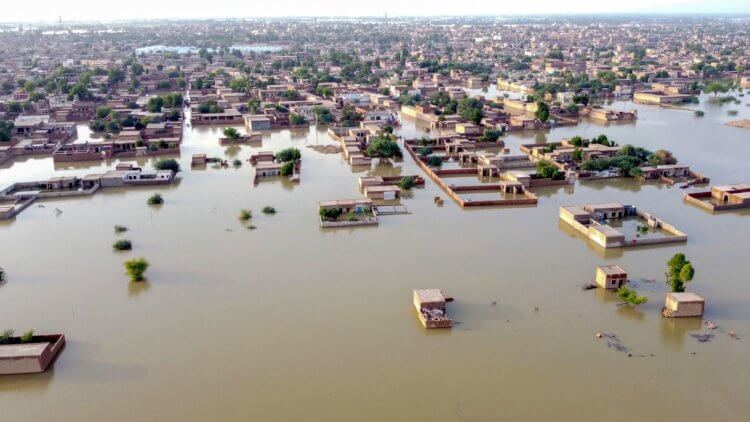 洪水の原因。  2010年にパキスタンで起きた洪水。 画像: cdn.vox-cdn.com。 写真。