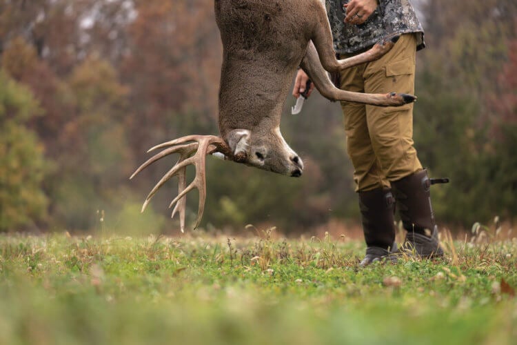 Is it true that the zombie deer disease has been transmitted to people? Researchers from the United States have reported the death of two hunters from an unknown neurological disease. Has the zombie deer disease been transmitted to people? Image: content.osgnetworks.tv. Photo.