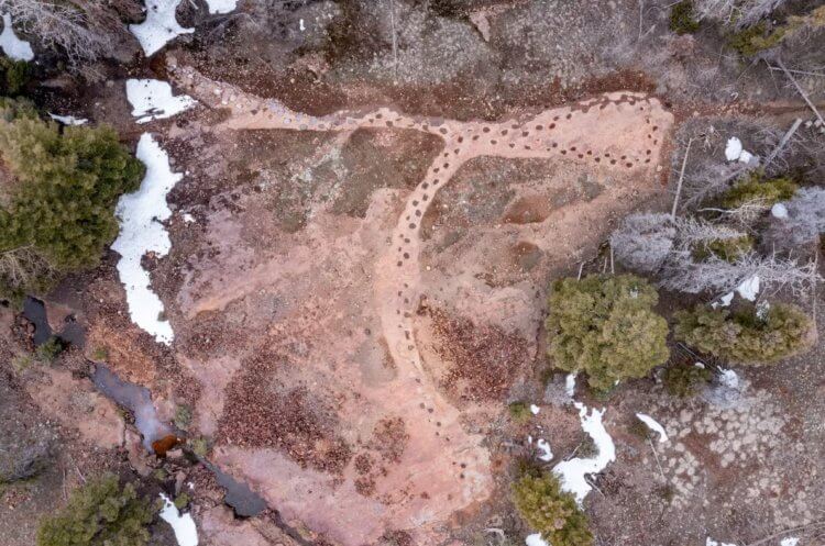 Fossil footprints of a real dinosaur. A path made by a huge dinosaur. Photo source: USDA Forest Service. Photo.