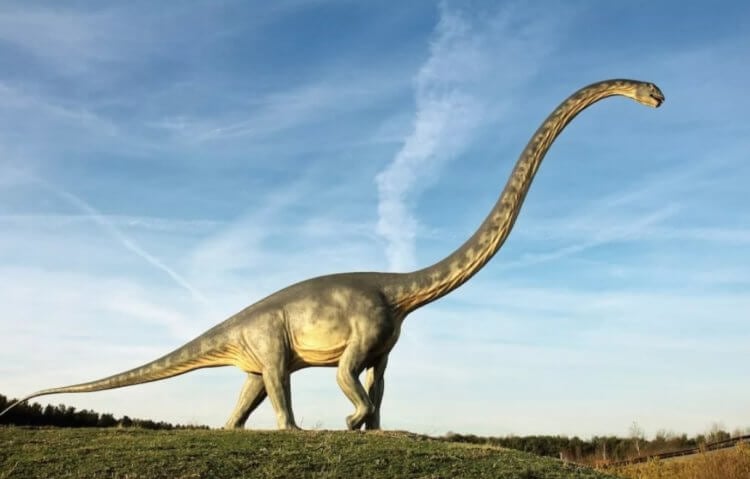 Why the longest dinosaur trail sold for more than 100 thousand dollars. Sauropods are one of the largest creatures in the history of the Earth. Image source: freepik.com. Photo.