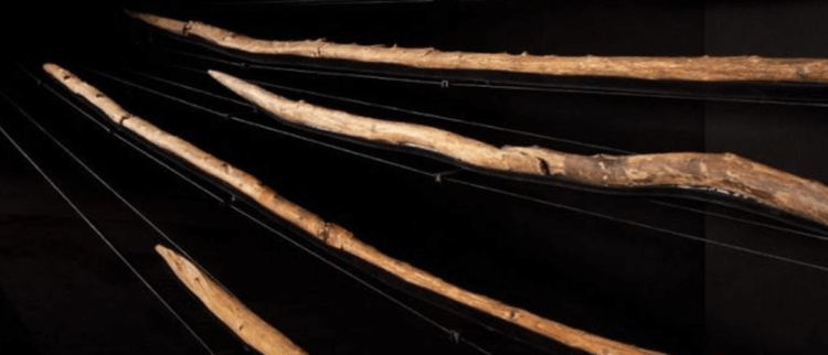 Первое смертоносное оружие люди создали 300 тысяч лет назад. Ученые обнаружили, что древние люди создавали сложное деревянное оружие 300 тысяч лет назад. Источник фото: www.sciencealert.com. Фото.