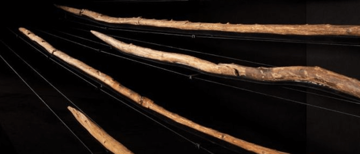 Первое смертоносное оружие люди создали 300 тысяч лет назад. Ученые обнаружили, что древние люди создавали сложное деревянное оружие 300 тысяч лет назад. Источник фото: www.sciencealert.com. Фото.
