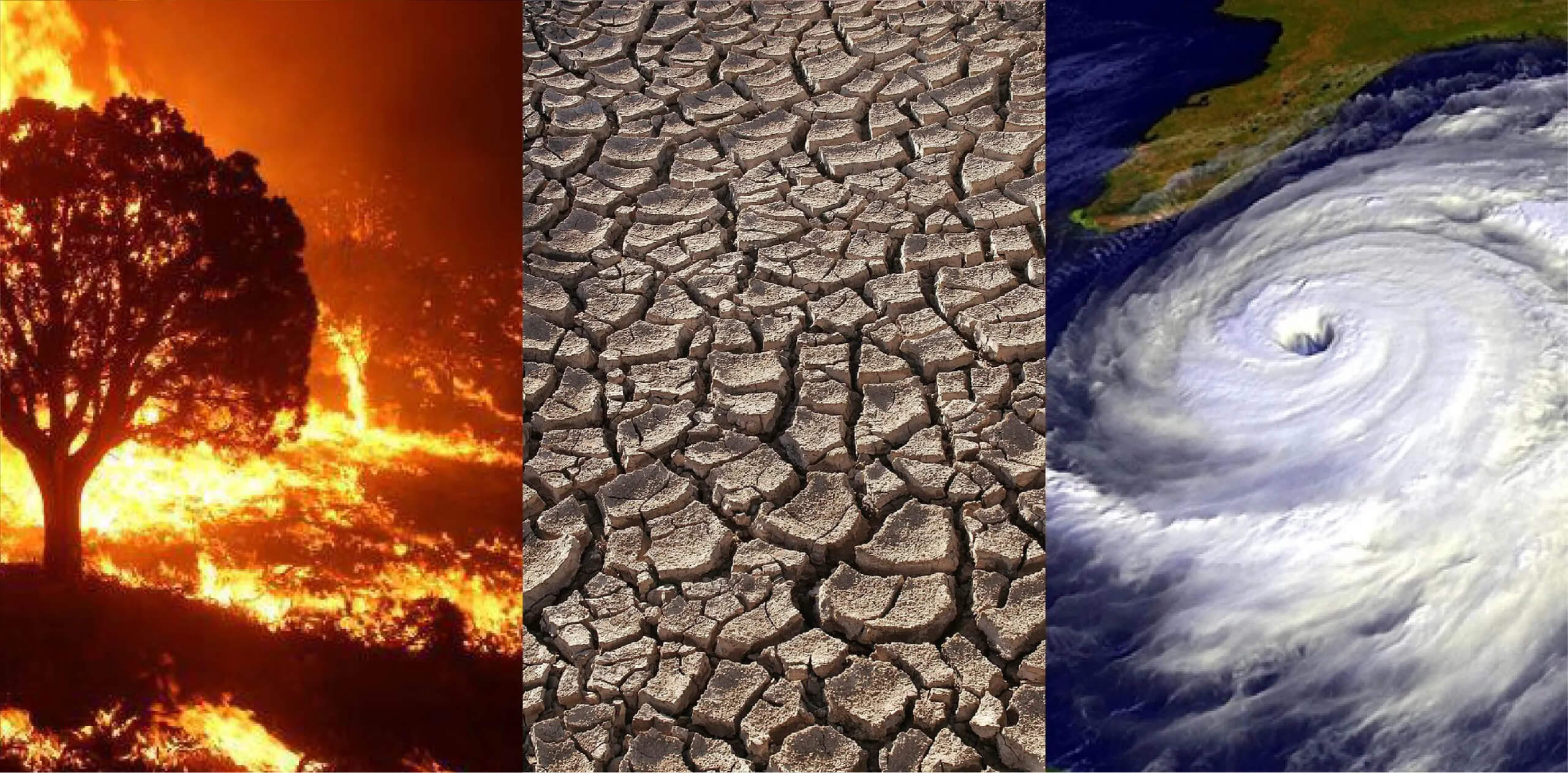 В мире стало больше аномально жарких дней. Последствия изменения климата ощутимы уже сегодня. Изображение: Nasa.com. Фото.