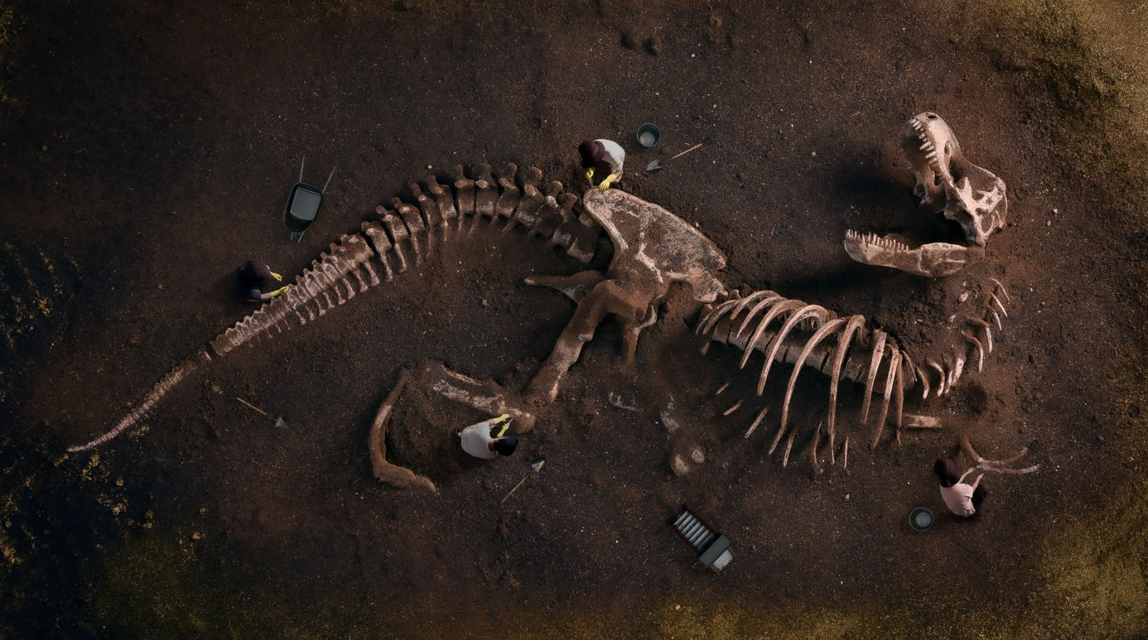 Когда будут открыты все динозавры. Возможно, золотой век открытия динозавров продлится еще сотню лет. Источник изображения: mir24.tv. Фото.