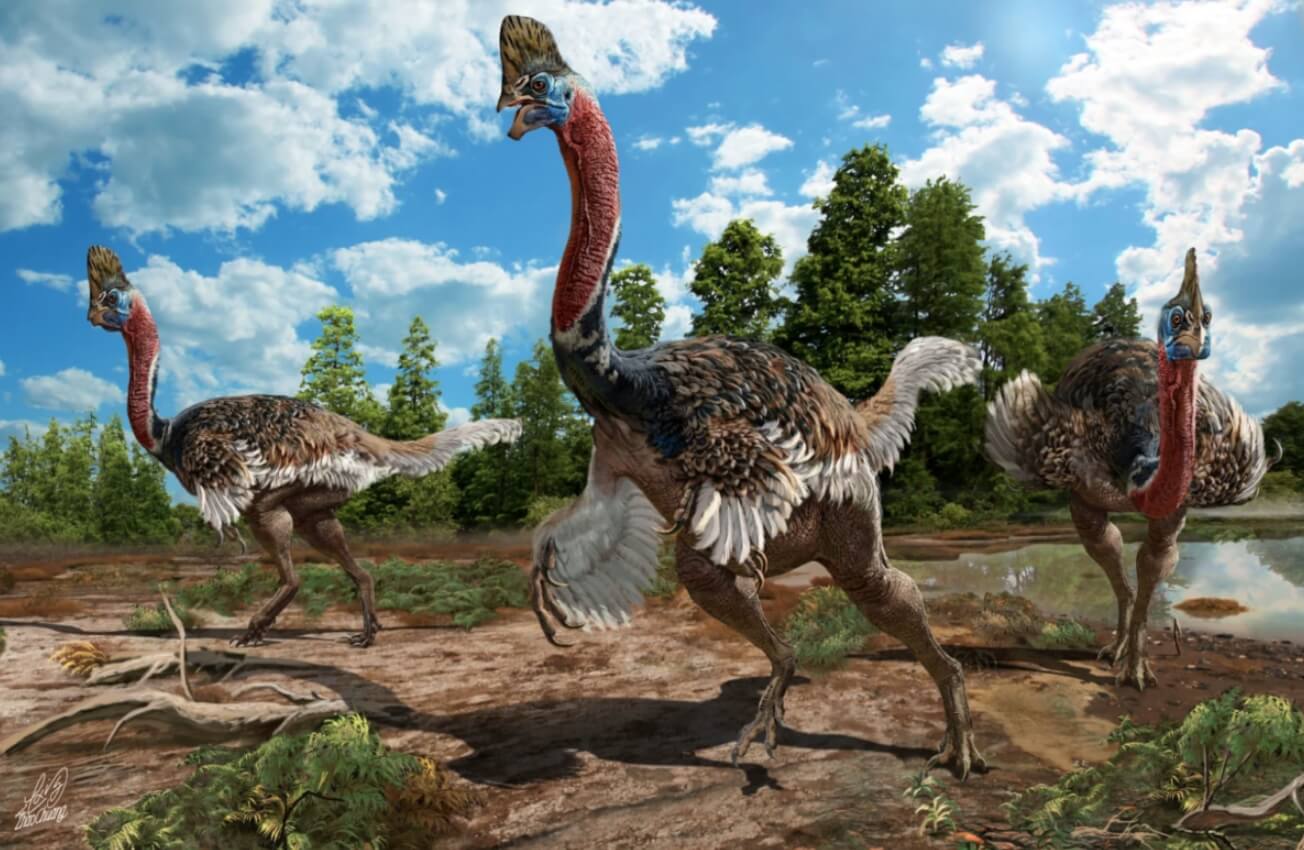 Сколько динозавров жило на Земле. Птичьи динозавры, как можно понять из названия, были покрыты перьями. Источник изображения: travelask.ru. Фото.