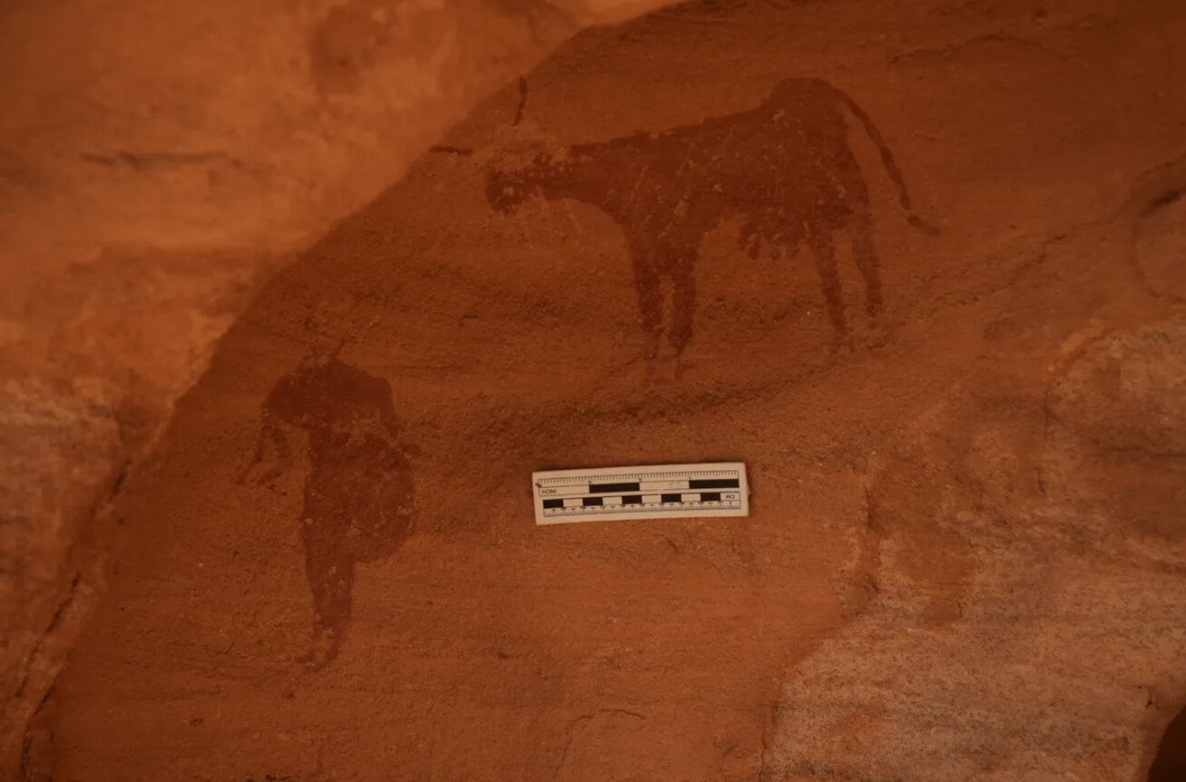 Наскальные рисунки в пустыне Сахара. Наскальный рисунок человека и крупного рогатого скота в Сахаре. Источник изображения: IFL Science. Фото.