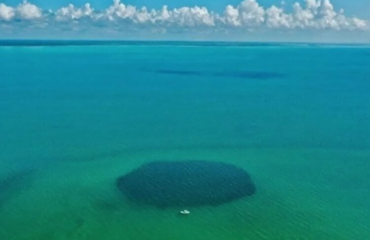 Taam Dja: det mest mystiska hålet i världen, vars djup inte kan mätas. Det blå hålet i Taam Dja nära Yucatan. Bildkälla: livescience.com. Foto.