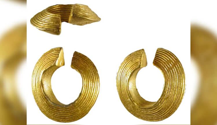 Золотые кольца древних времен. Золотые кольца, которые непонятно для чего были нужны. Источник: sciencealert.com. Фото.
