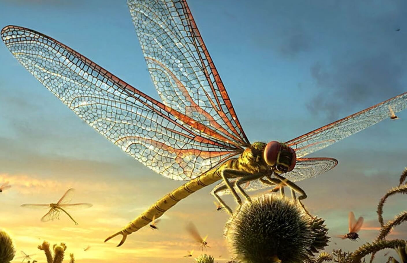 Почему 300 миллионов лет назад на Земле жили гигантские насекомые