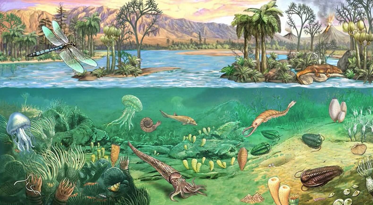 Почему древние животные были огромными. Природа каменноугольного периода. Источник: study.com. Фото.