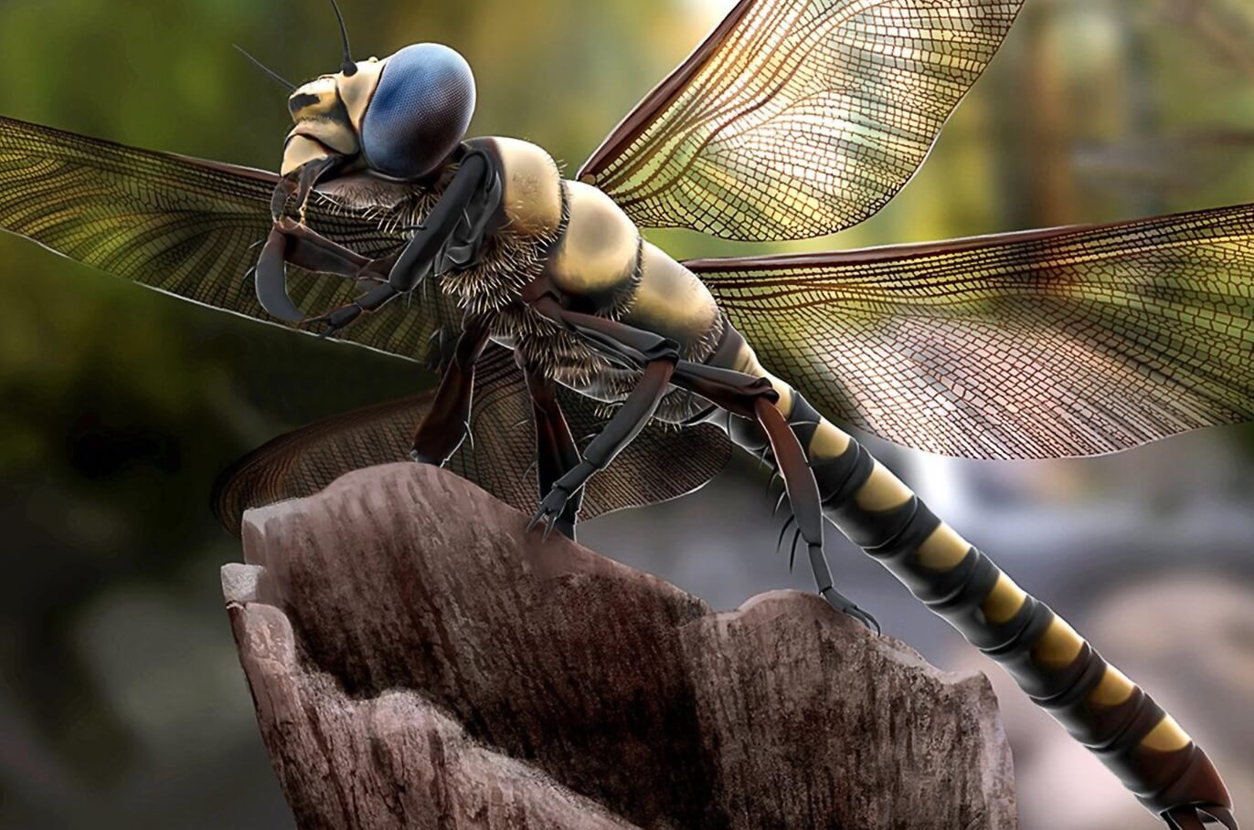 Почему древние животные были огромными. От огромных насекомых даже люди предпочитали бы держаться подальше. Автор: Lucas Lima/Earth Archives. Фото.