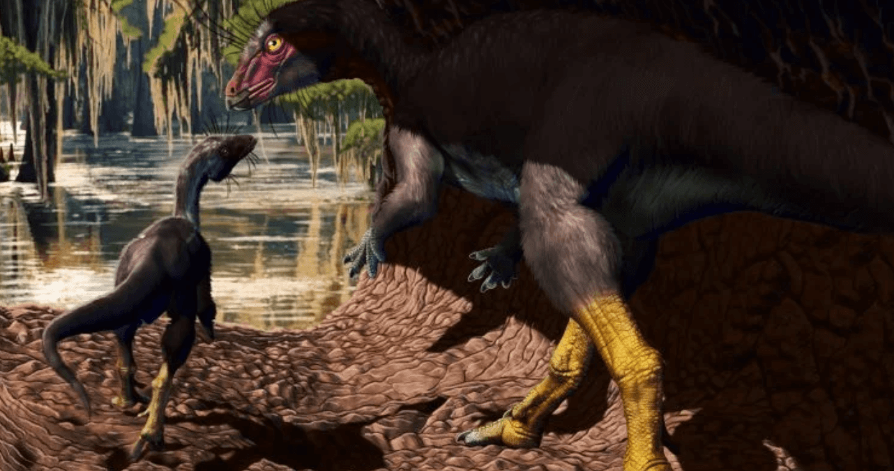 Открыт необычный вид динозавров, которые жили под землей. Недавно открытый динозавр Fona herzogae, который жил под землей. Источник фото: scitechdaily.com. Фото.