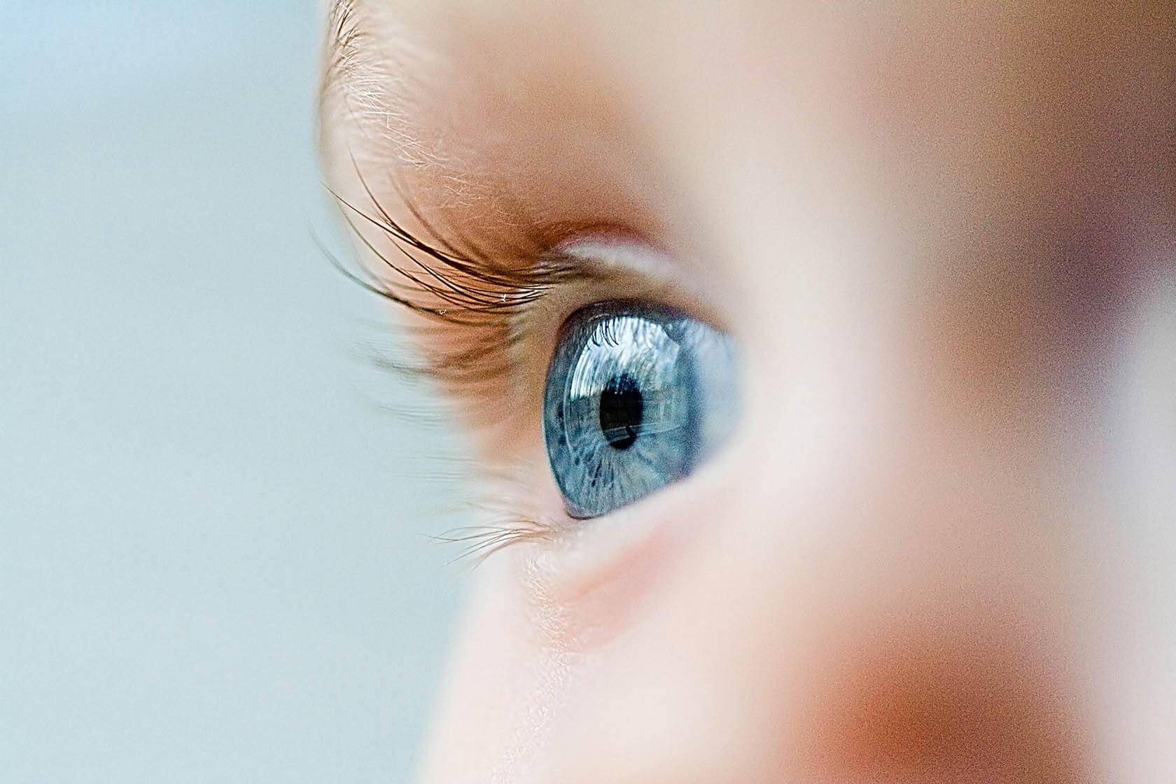 Может ли меняться цвет глаз. У детей цвет глаз может кардинально меняться в первые месяцы жизни. Источник фото: roddom.msk.ru. Фото.
