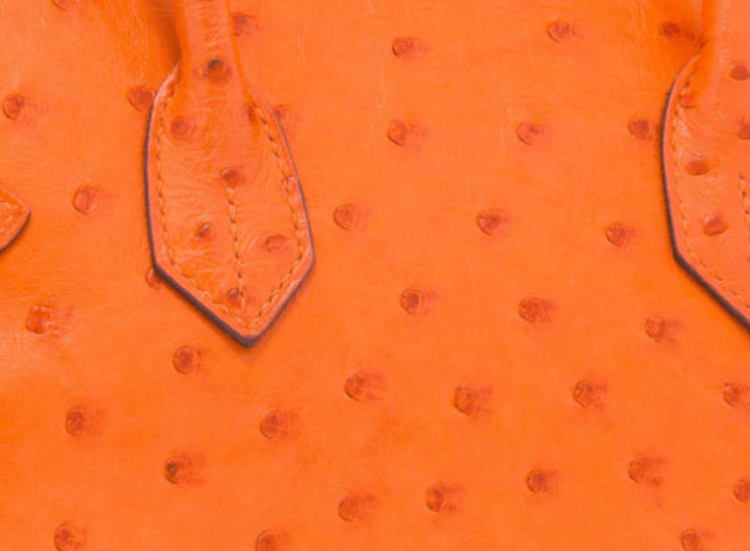 爱马仕 (Hermès) 的奢华女包。 甚至鸵鸟皮也被用来制作爱马仕包包。 图片来源：factoria-moscow.ru。 照片。