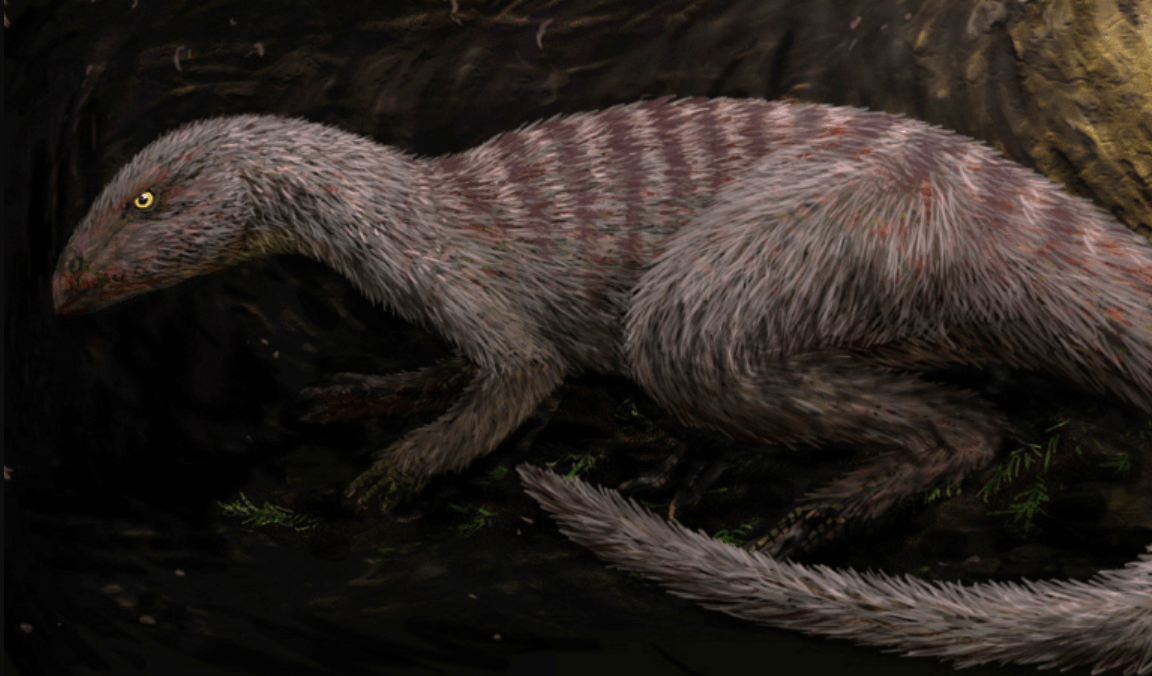 Почему динозавр Фона хорошо сохранился. Динозавр Oryctodromeus был родственником Fona. Источник фото: wikimedia.org. Фото.