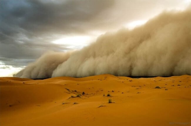 Песок из Сахары добрался даже до США — как он преодолевает 8 тысяч километров. Фото.