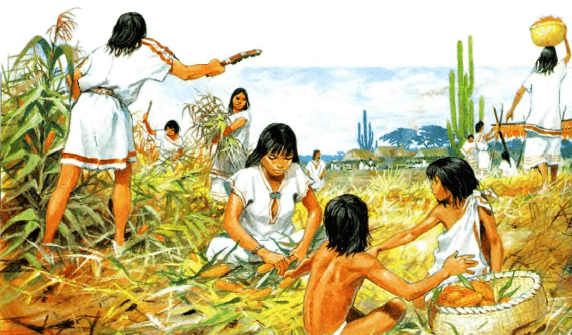 Попкорн — традиционное блюдо древних индейцев. Индейцы начали выращивать кукурузу 9000 лет назад. Источник фото: dzen.ru. Фото.
