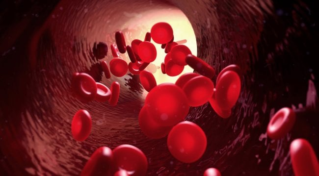 Группа крови человека может внезапно измениться: вот три главные причины. Фото.
