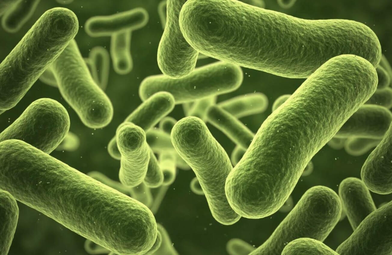 Бактериальные инфекции. Бактерии способны изменить группу крови человека. Источник: chemistryworld.com. Фото.