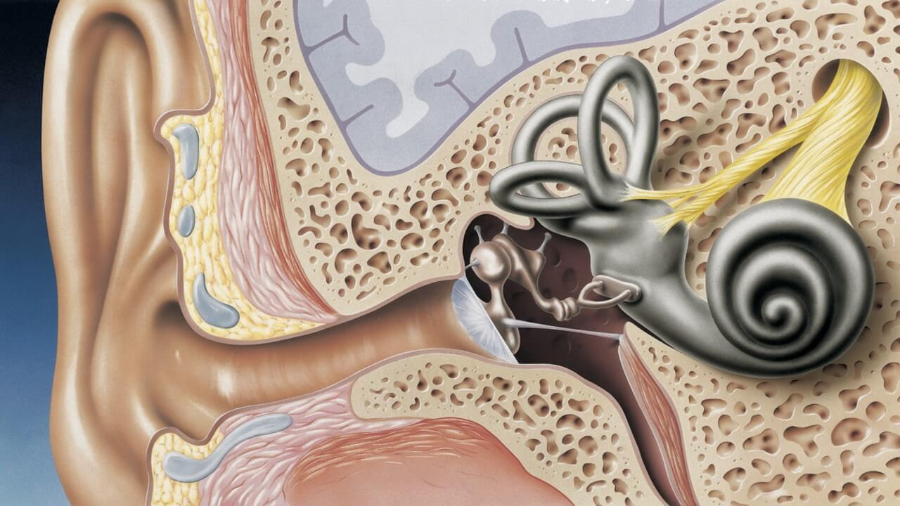 Шатающаяся походка. Лабиринтит – развитие воспаления во внутреннем ухе. Заболевание может привести к проблемам с равновесием и походкой. Изображение: lorlor.ru. Фото.