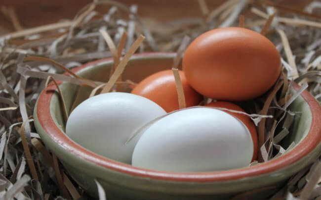 Почему куриные яйца бывают разного цвета. Фото.