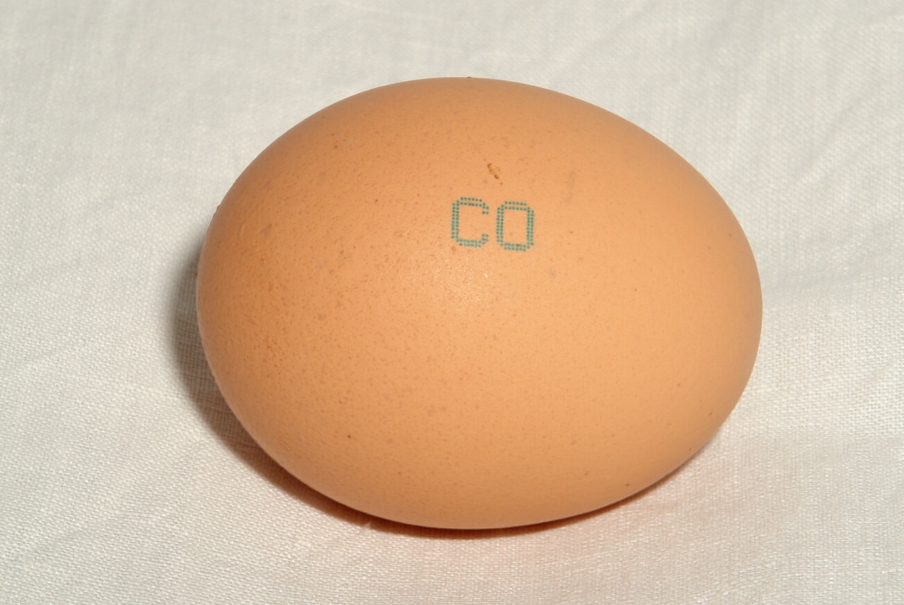 Какие яйца самые полезные. Маркировки на яйцах могут рассказать многое, главное научиться их читать. Источник: wiktionary.org. Фото.
