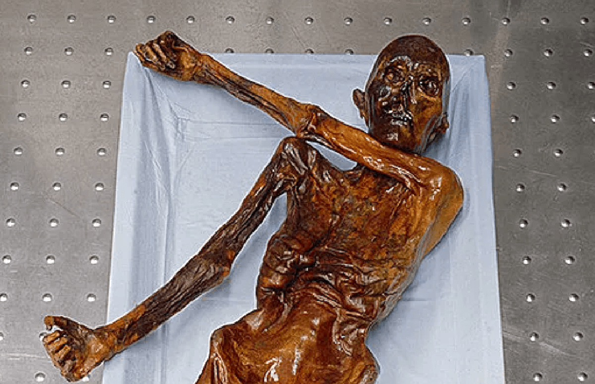 Ошибки в исследовании ДНК. Эта мумия стала настоящим подарком для исследований, но не всю свою работу они провели правильно. Изображение: Рамблер/новости. Фото.