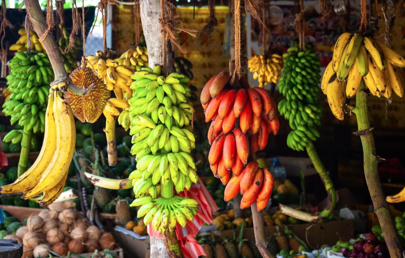 Как выбрать вкусный банан. В некоторых странах продаются бананы таких сортов, о которых мы даже не слышали. Источник: srilankateaandspice.com. Фото.