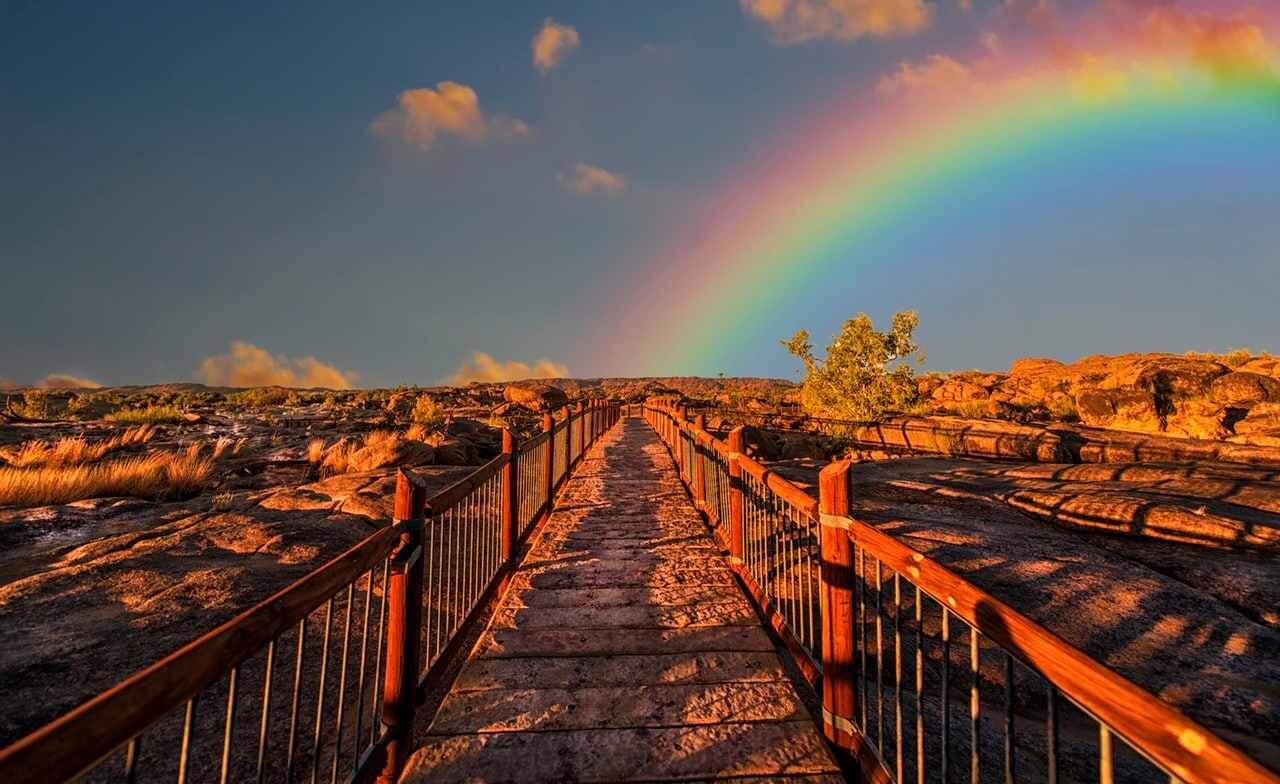 Почему мы видим радугу? Радуга – это прекрасная иллюзия, скрывающая в себе природу света. Изображение: timesknowledge.wwmindia.com. Фото.