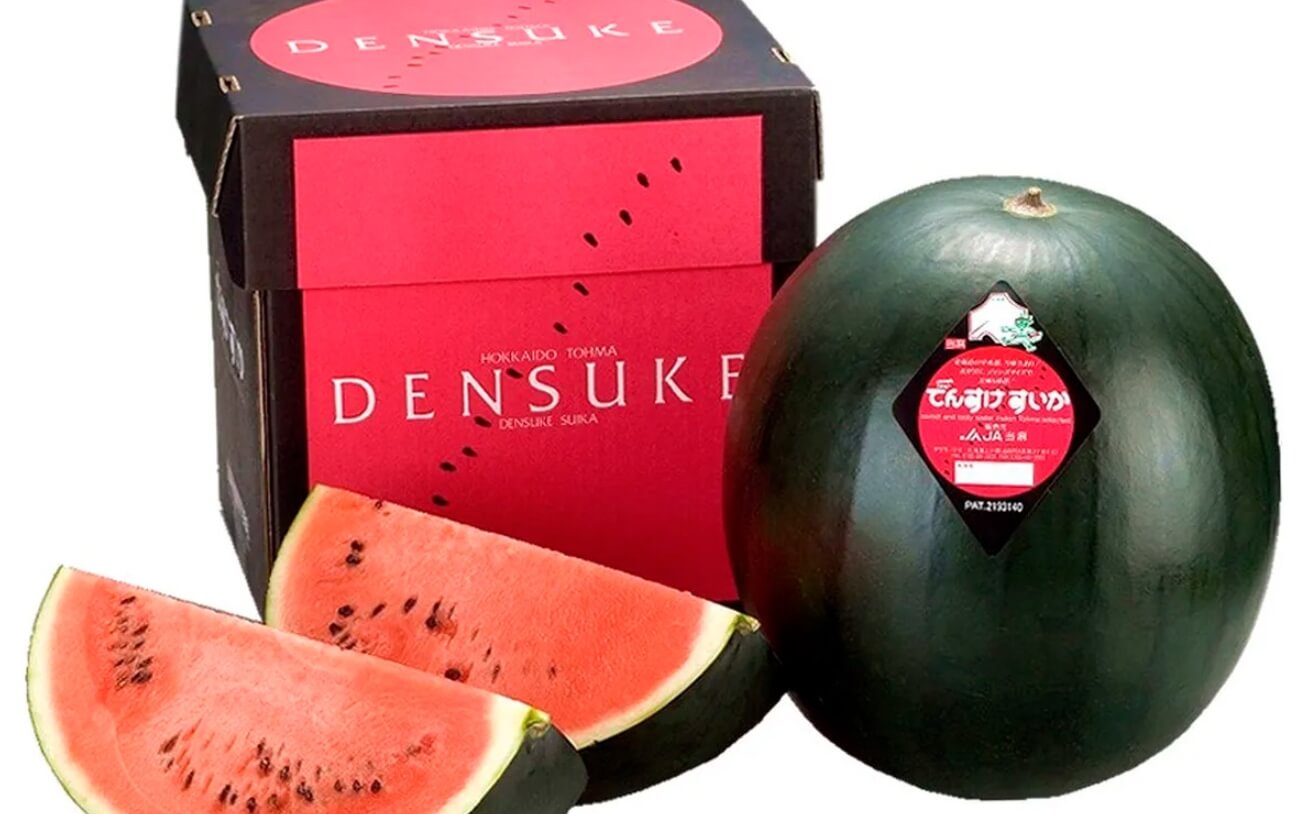 Денсукэ — самые дорогие арбузы в мире. Арбузы денсукэ продаются в красивых коробках: foodsuppliers.ru. Фото.