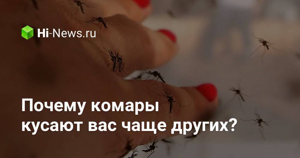 Почему комары кусают ночью. Почему комары кусают ночью