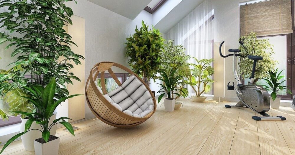 健康を改善する観葉植物