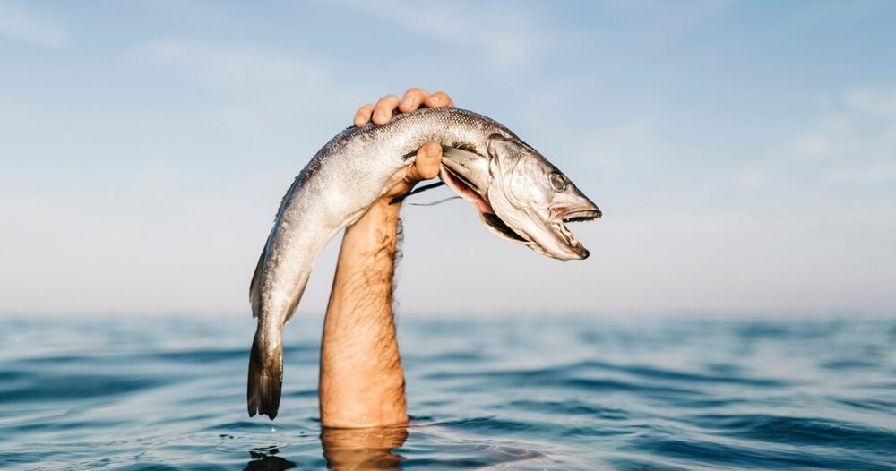 私たちが購入する魚にはどのような寄生虫が生息しているのでしょうか?