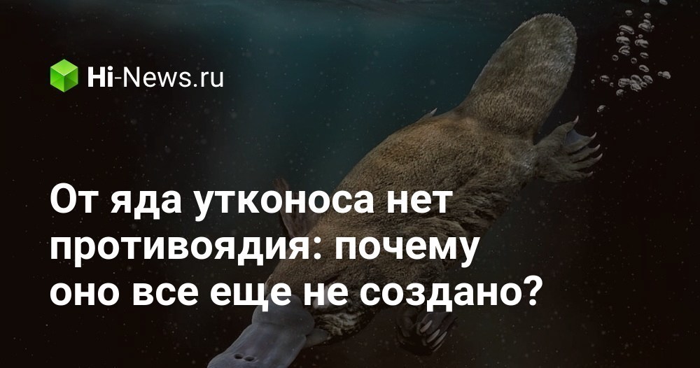 Почему бывший помогает вам. Почему бывший помогает вам