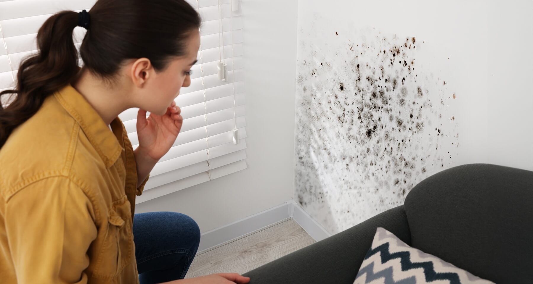 Черная плесень самая опасная для здоровья. Источник: banki.ru. Фото.