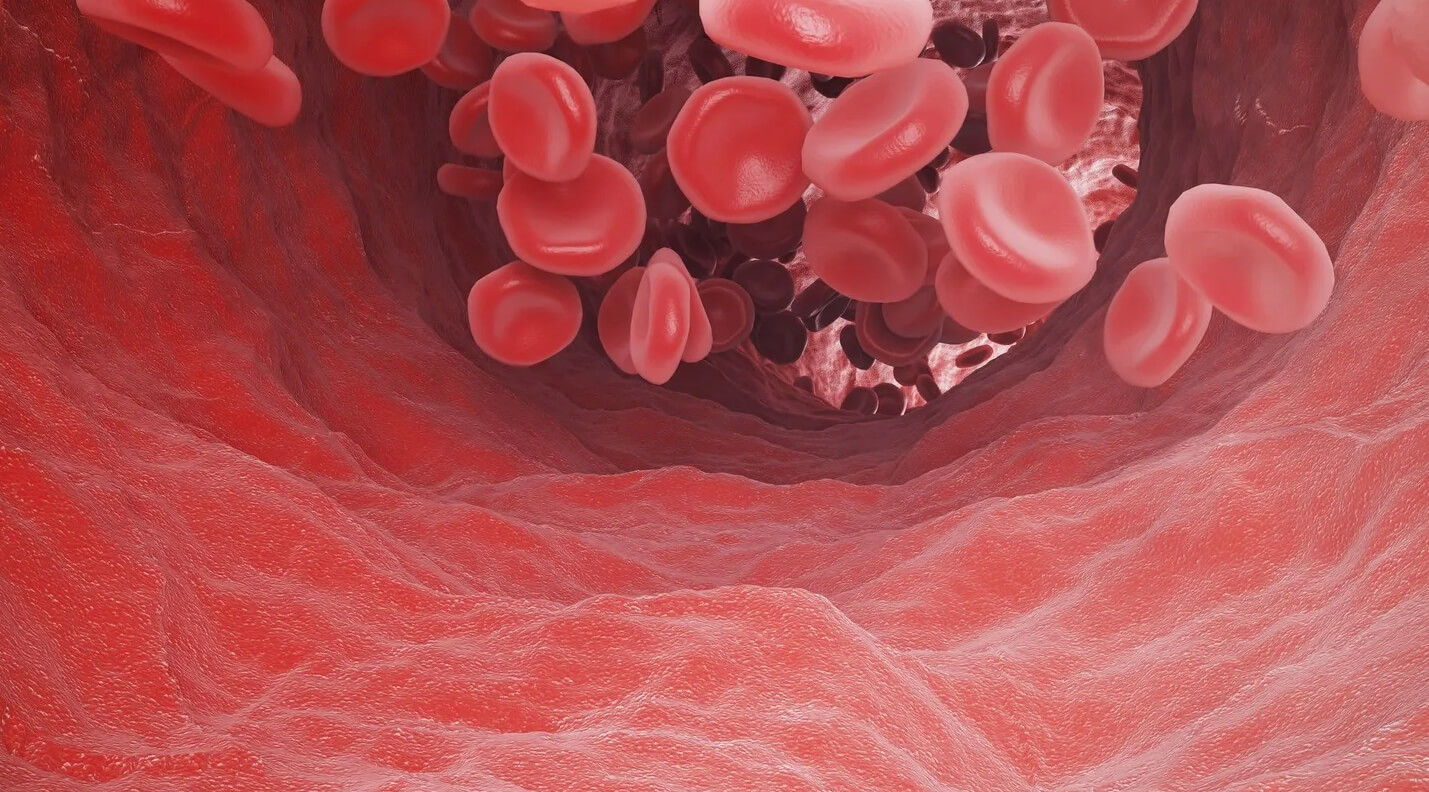 Нормальный уровень кислорода в крови составляет 90-100%. Источник изображения: Science Alert. Фото.