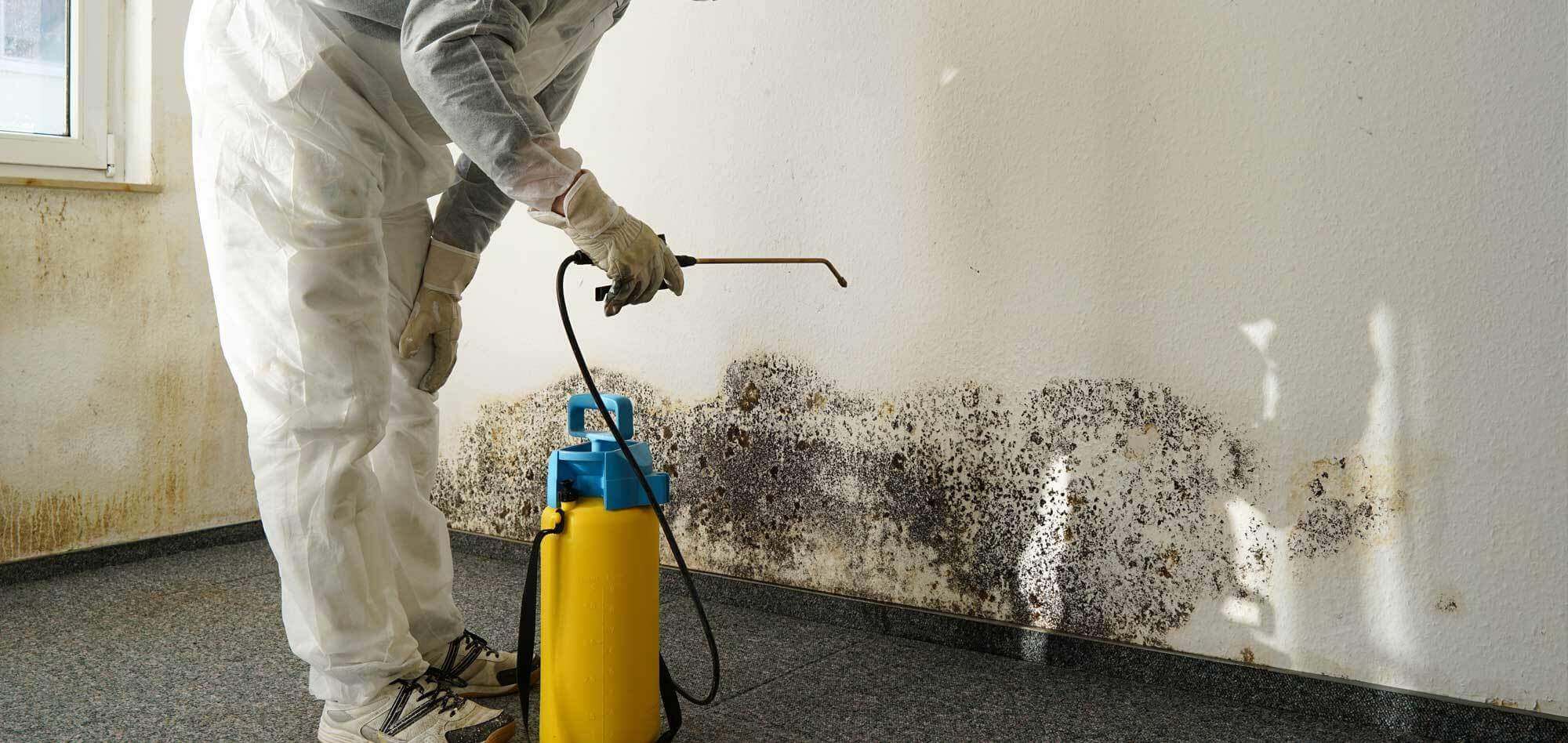 Пораженные плесенью поверхности необходимо обработать противогрибковым составом. Источник: selagro.com. Фото.