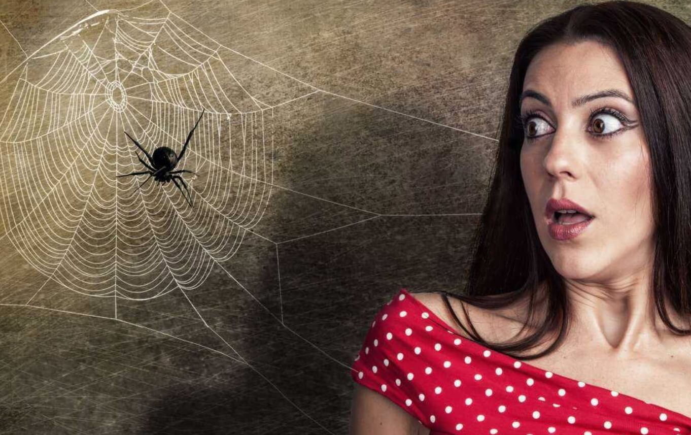 5 пауков России, которых точно стоит бояться. От некоторых пауков в России действительно лучше держаться подальше. Источник изображения: dzen.ru. Фото.