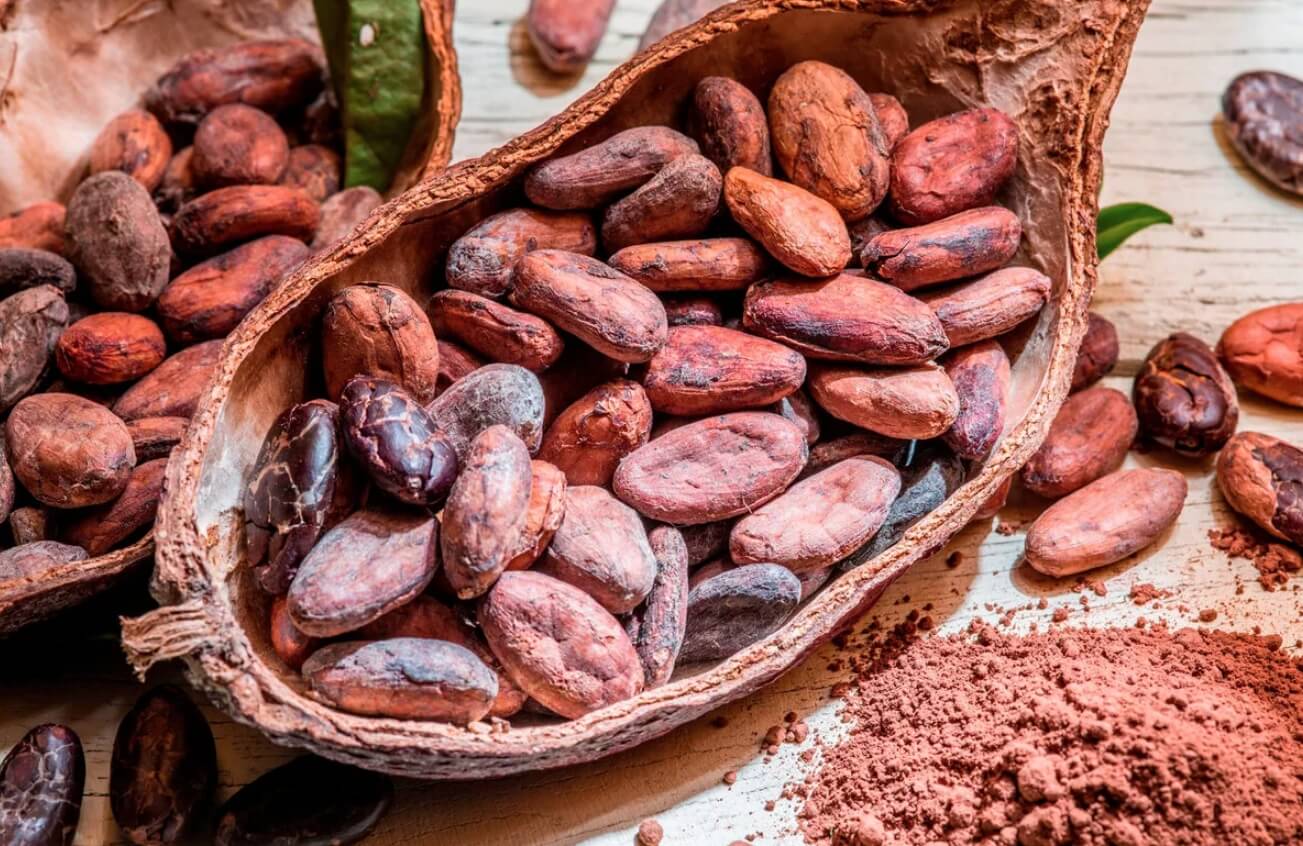Бобы какао в необработанном виде. Источник изображения: dzen.ru. Фото.