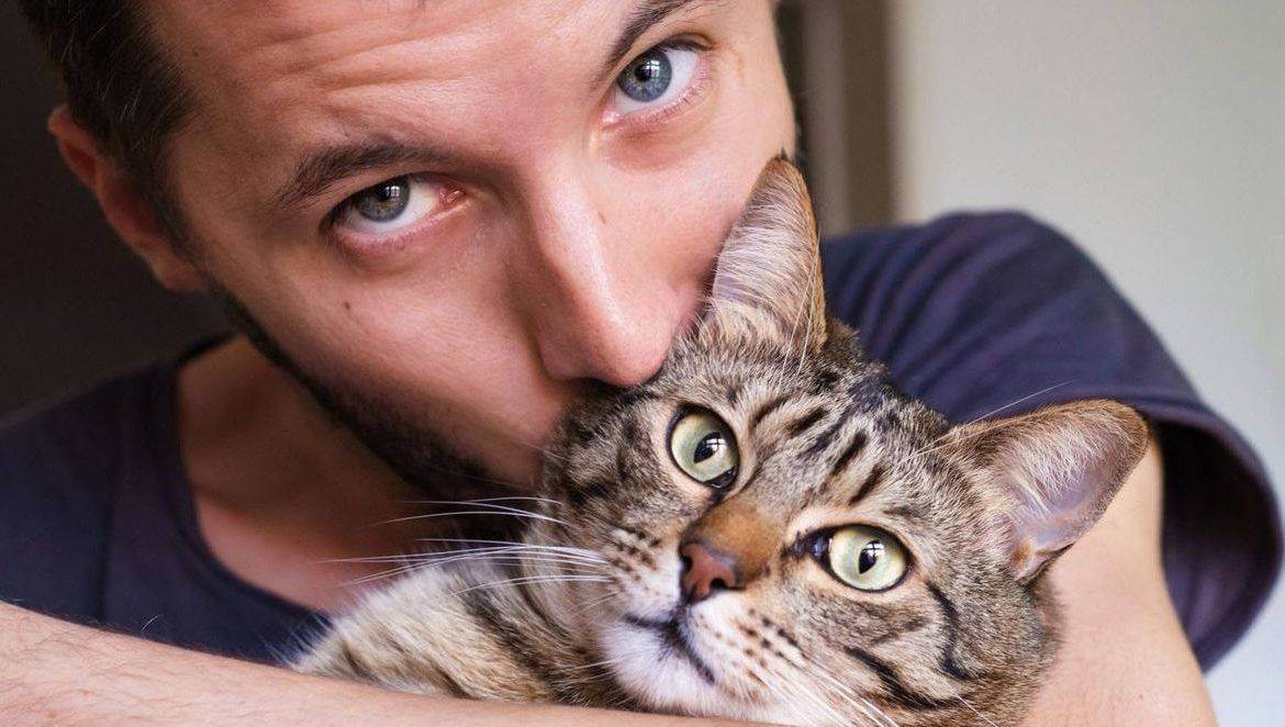 В отличие от людей, кошки не улыбаются, чтобы показать, что они счастливы. Источник изображения: barbos.club. Фото.