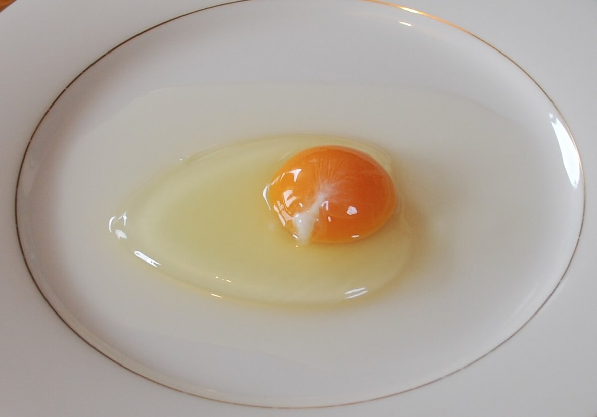 Белые прожилки в яйце. Яйца с халазами говорят о свежести продукта. Источник изображения: wikipedia.org. Фото.