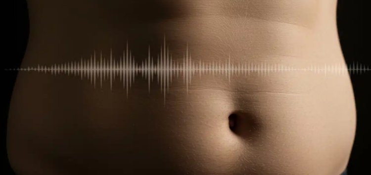 Ученые хотят лечить ожирение звуковыми волнами — вот, как это работает. Лечить ожирение можно при помощи звуковых волн<div class=