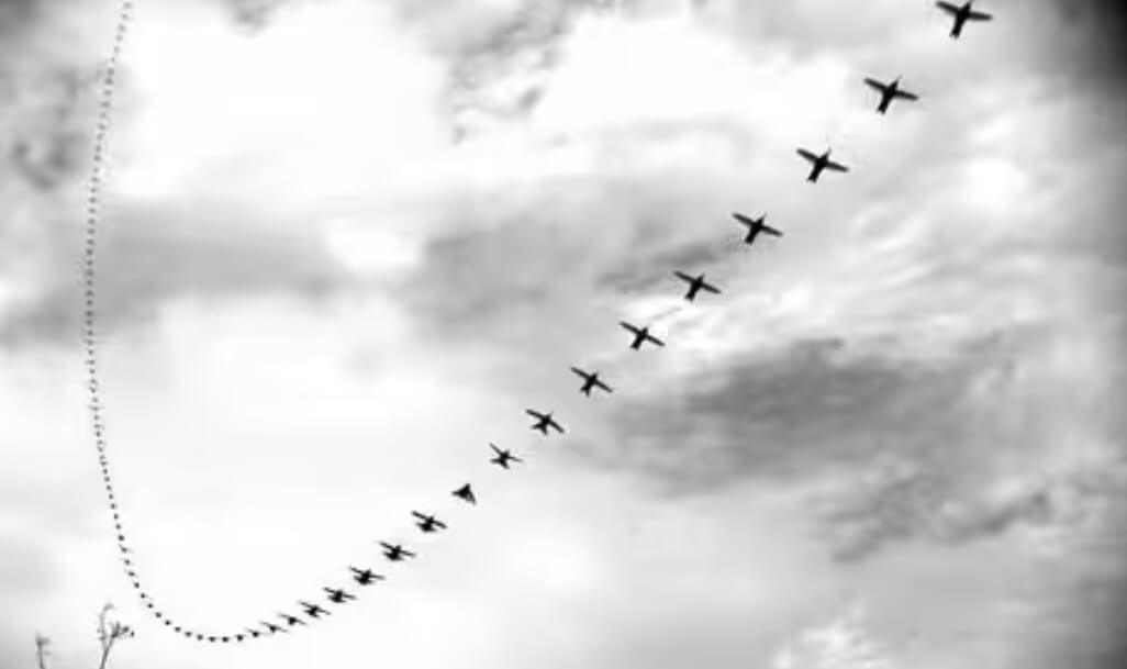 В пересчете на размеры тела, колибри является самым быстрым существом на планете. Источник: vokrugsveta.ru. Фото.