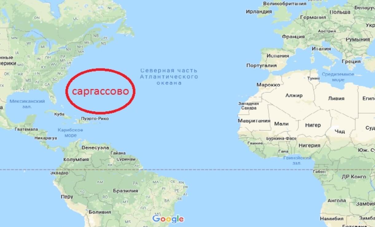 Особенности воды и водоворотов. Саргассово море на карте. Фото.